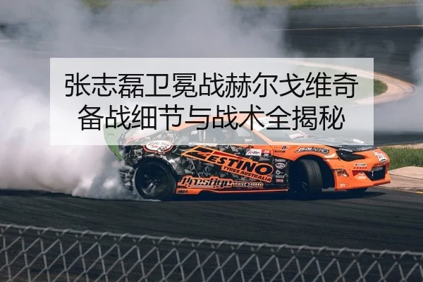 张志磊卫冕战赫尔戈维奇 备战细节与战术全揭秘